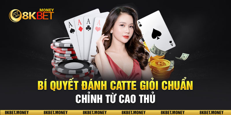 Cách chơi Catte giỏi hiện nay