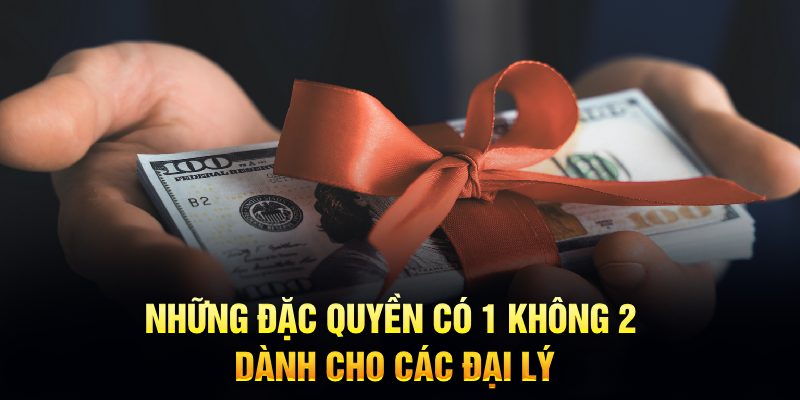 Những đặc quyền có 1 không 2 dành cho các đại lý